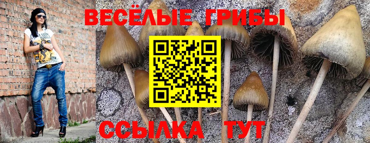 Псилоцибиновые грибы мухоморы  Вход с VPN  Псилоцибиновые грибы Magic Shrooms  Кувандык 
